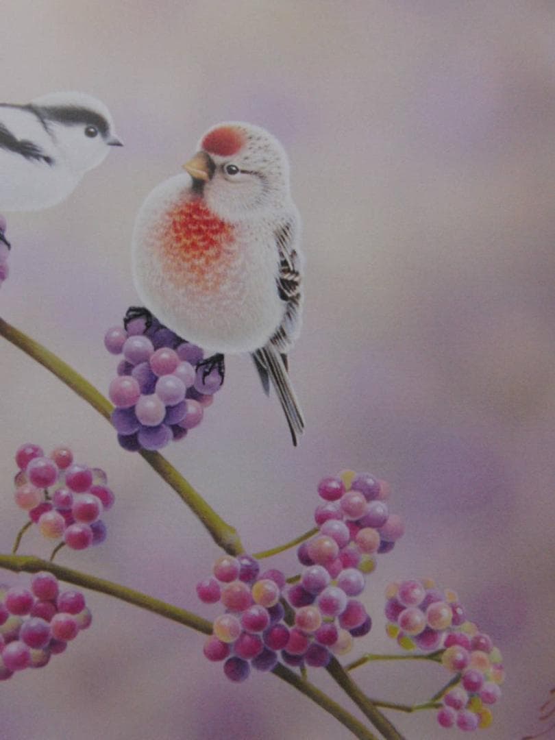 山地司、【紫式部とエナガとベニヒワ】、希少な額装用画集より