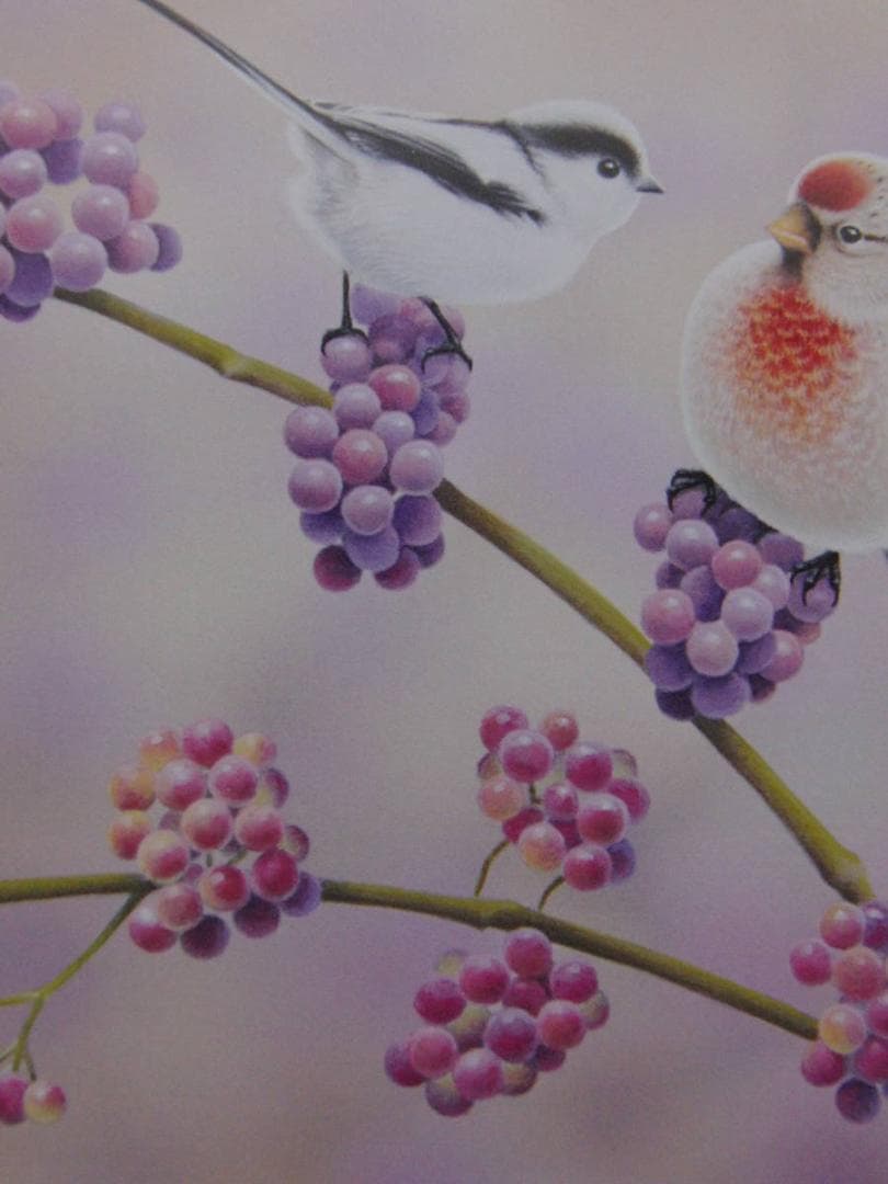 山地司、【紫式部とエナガとベニヒワ】、希少な額装用画集より