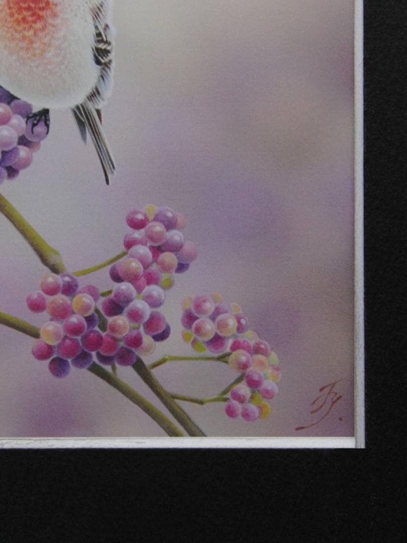 山地司、【紫式部とエナガとベニヒワ】、希少な額装用画集より