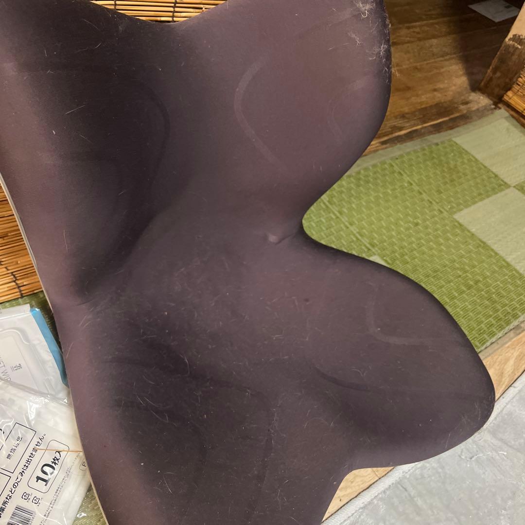 定価26000円　Style プレミアム骨盤・姿勢矯正クッション