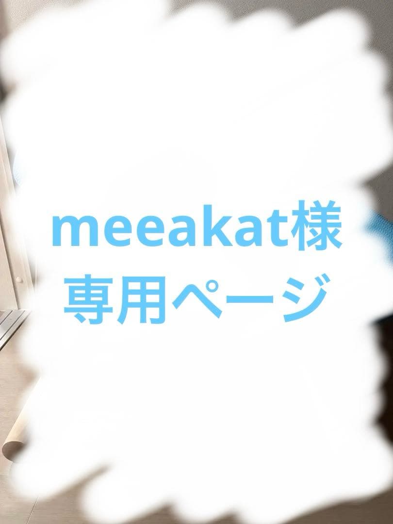 balans Easy バランスラボ ラクに姿勢を矯正できる椅子 水色