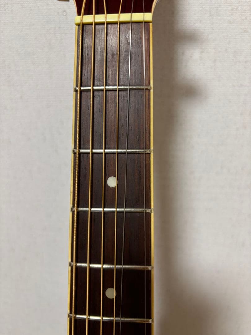 専用！美品！初心者、女性の方、学生さんに最適！！ARIA アリアADF250RD