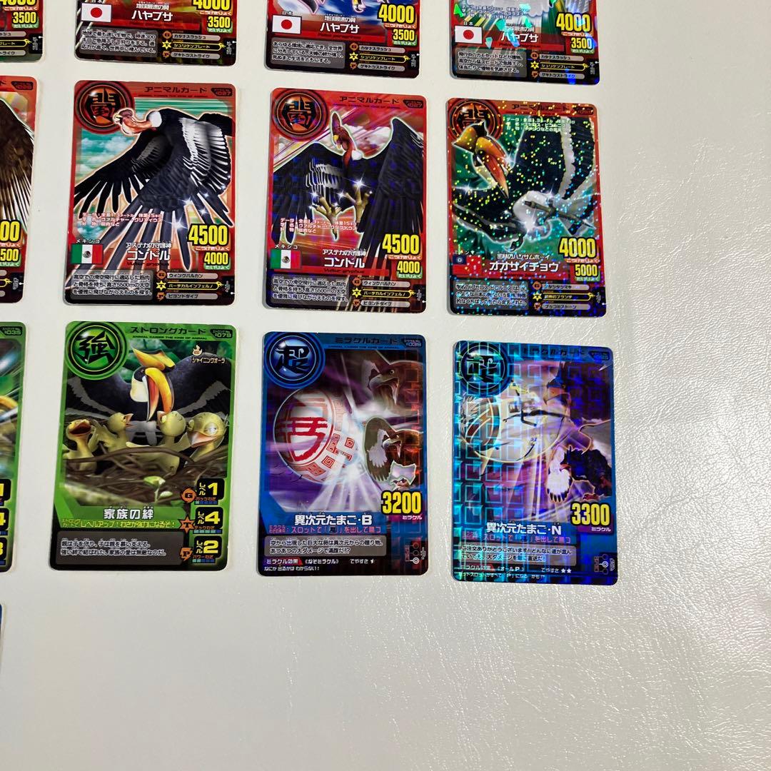 アニマルカイザーカード☆22枚 鳥系 - メルカリ