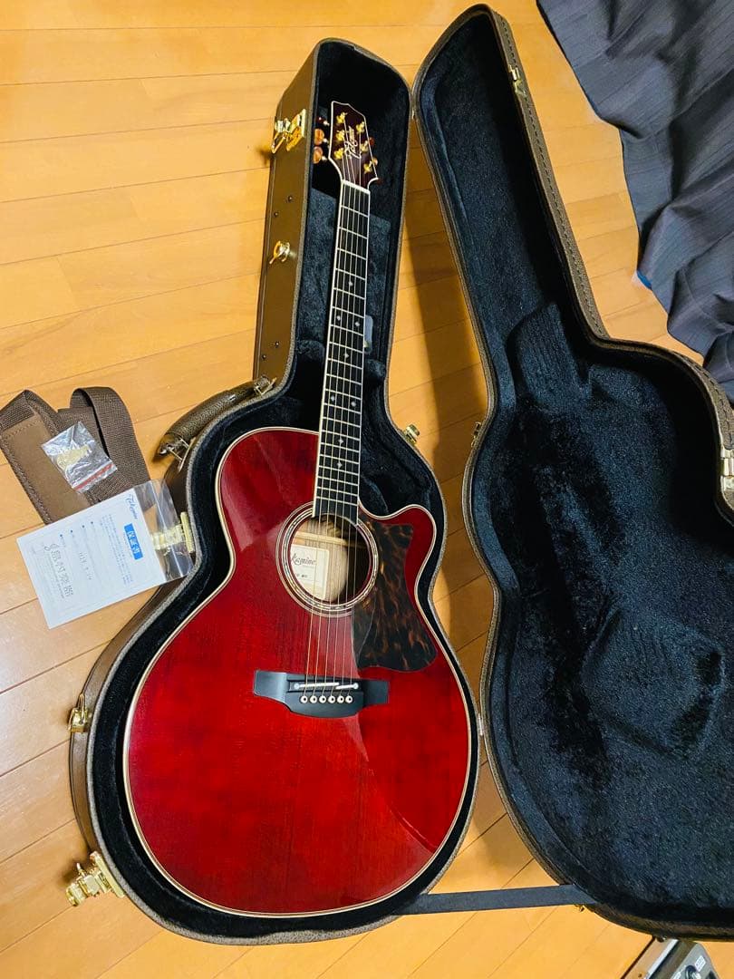 Takamine DMP50S MR 値下げしました！