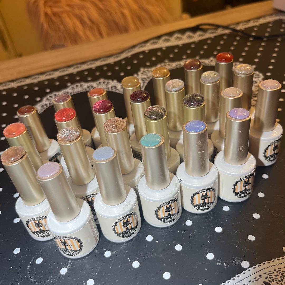 プリジェル プリアンファ きまぐれキャット マグネット ジェルネイル 26色