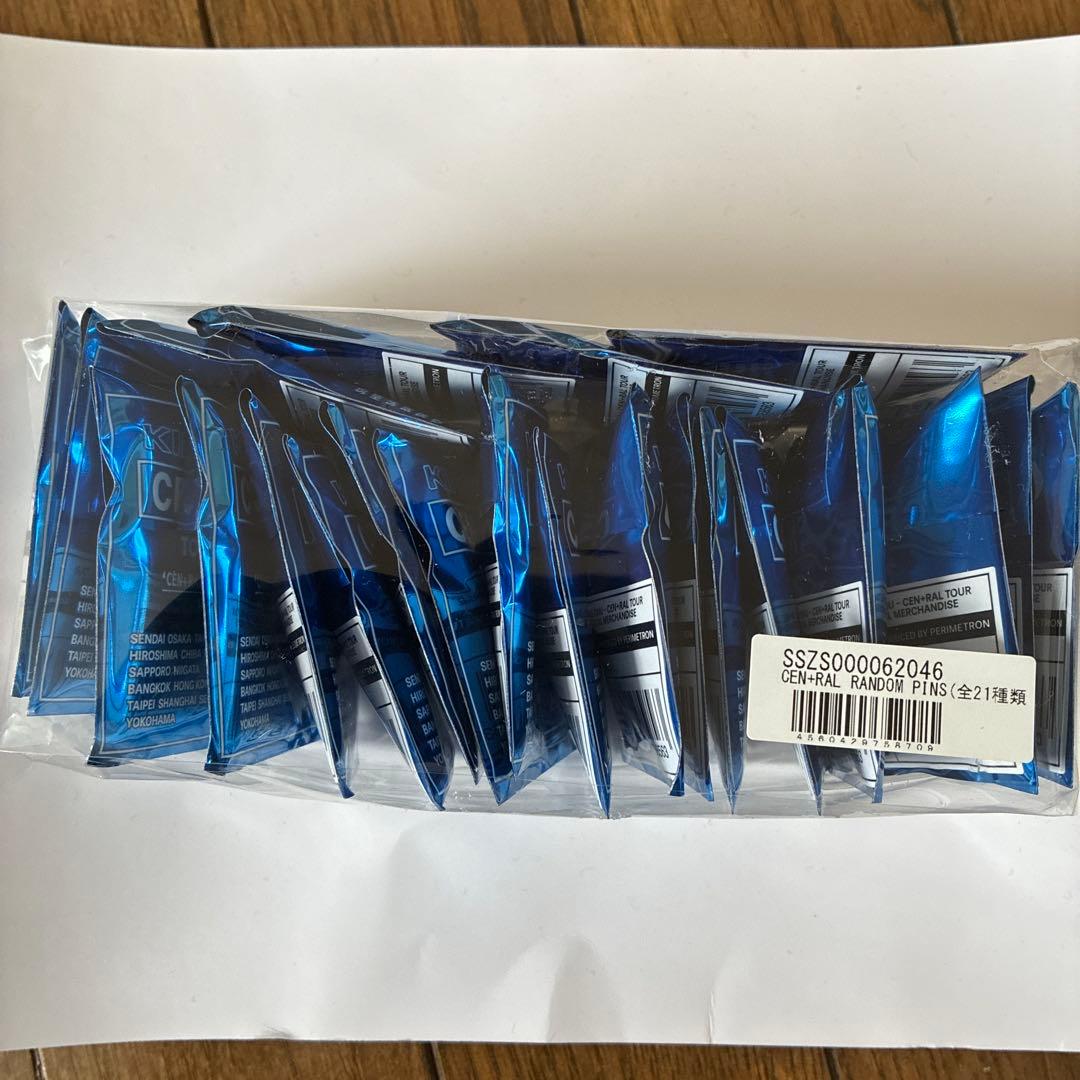 KING GNU CEN+RAL TOUR 2026 ピンバッジセット KING GNU CEN+RAL TOUR 2026 ピンバッジ - メルカリ