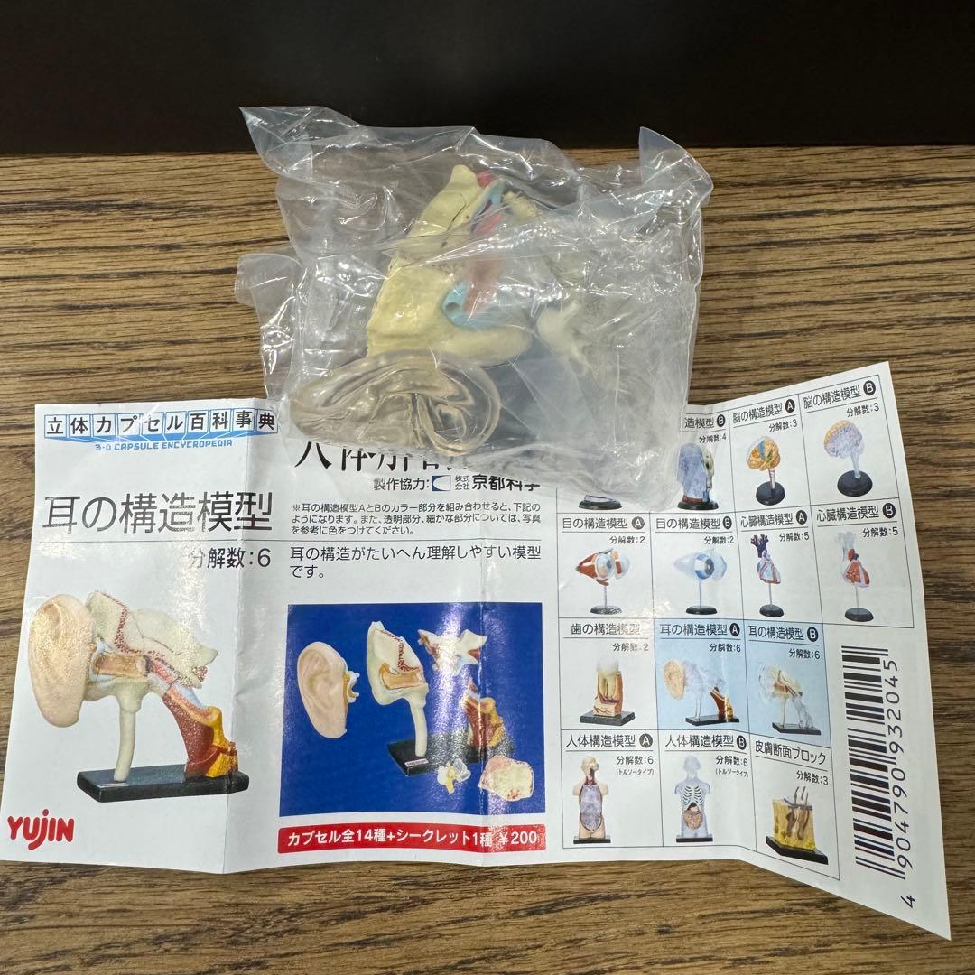 フルコンプ】YUJIN 人体解剖図鑑 15個セット - メルカリ