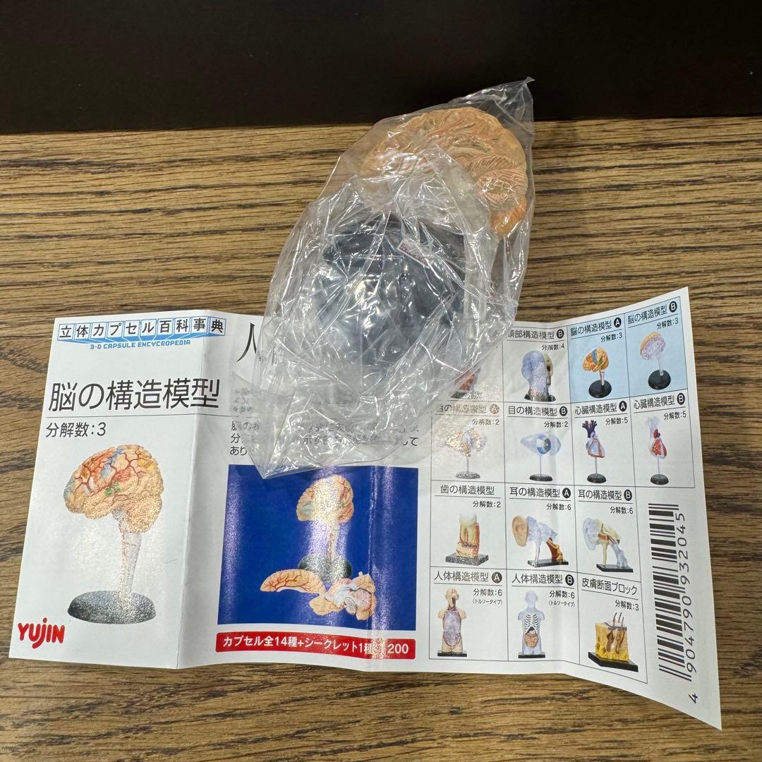 フルコンプ】YUJIN 人体解剖図鑑 15個セット - メルカリ