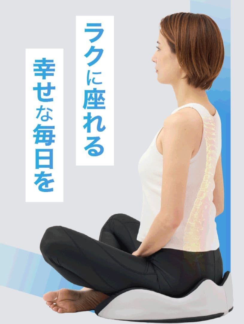 アラインパッド プロ AllignPad Pro 姿勢補正 クッション 骨盤矯正 座る 尿もれ 対策 クッション アラインパッドプロ 骨盤底筋 ケア 姿勢