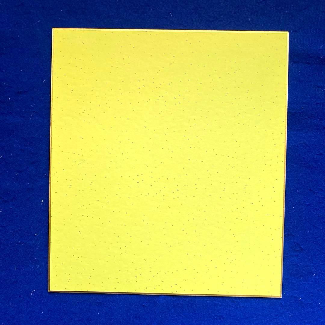 1991年デビュー 前日 ZARD 坂井泉水 直筆サイン 色紙 - メルカリ