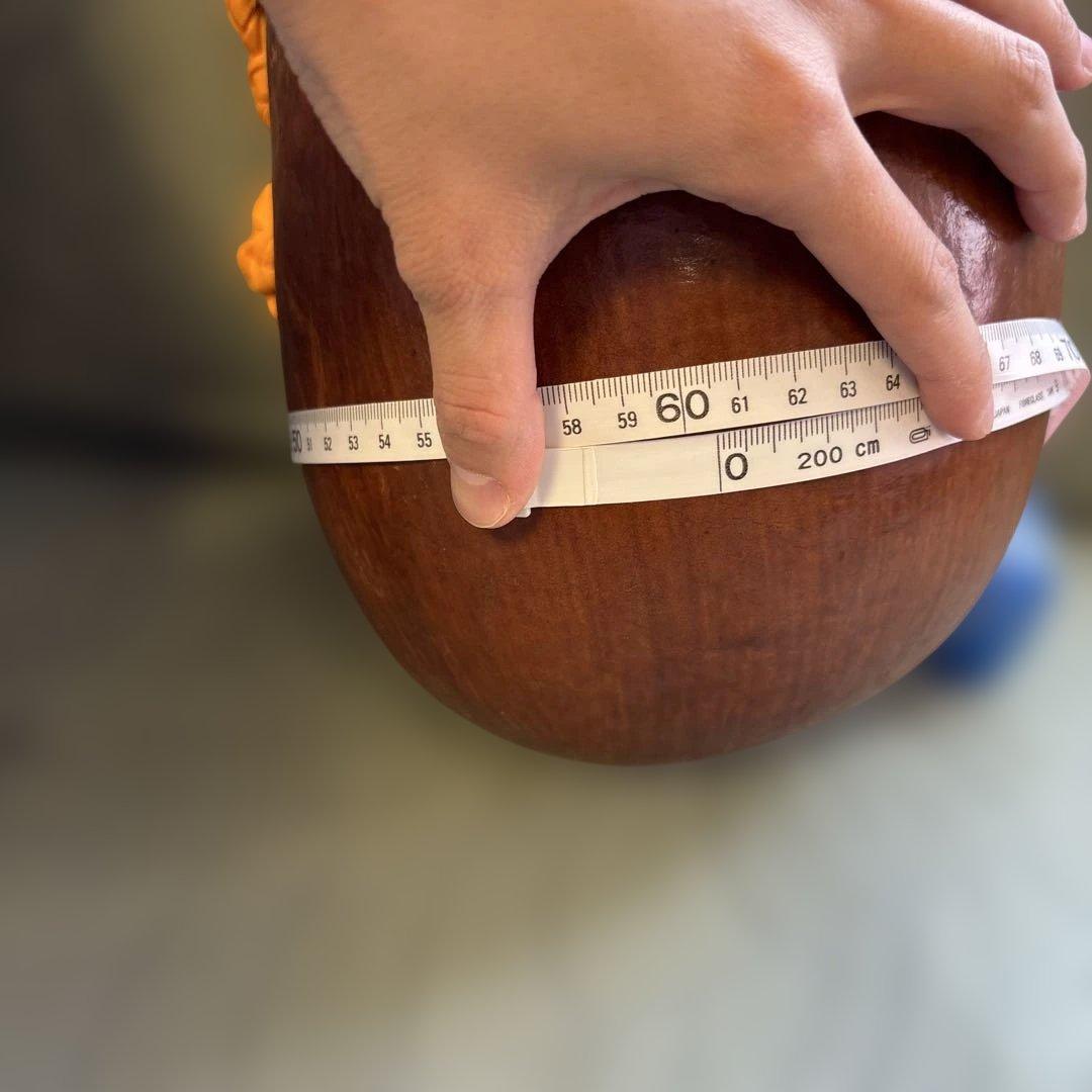 【値下げします】イプヘケ　46cm フラダンス