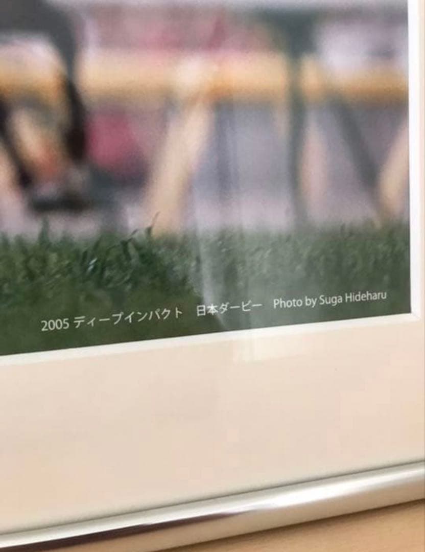 競馬 武豊 ディープインパクト 展示写真パネル 直筆サイン入り 武豊展