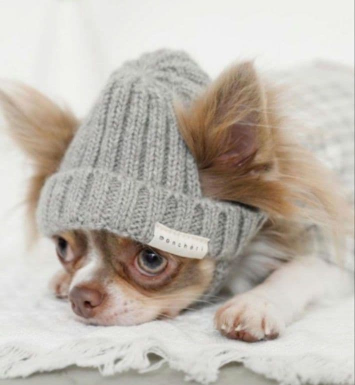 しろ　3点セット