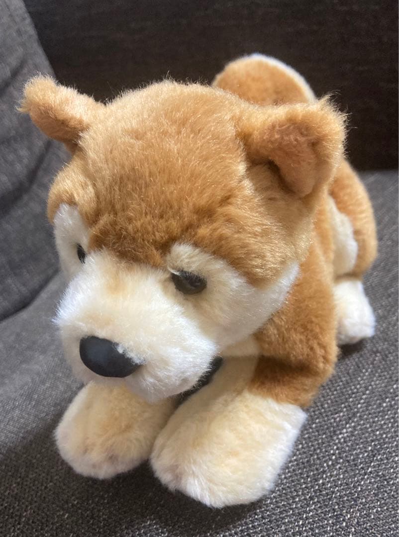 柴犬 ぬいぐるみ REGALO レガロ リアルドッグコレクション - メルカリ