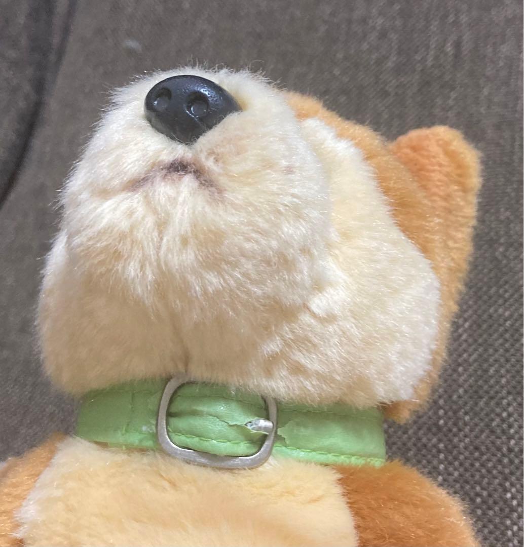 柴犬 ぬいぐるみ REGALO レガロ リアルドッグコレクション - メルカリ