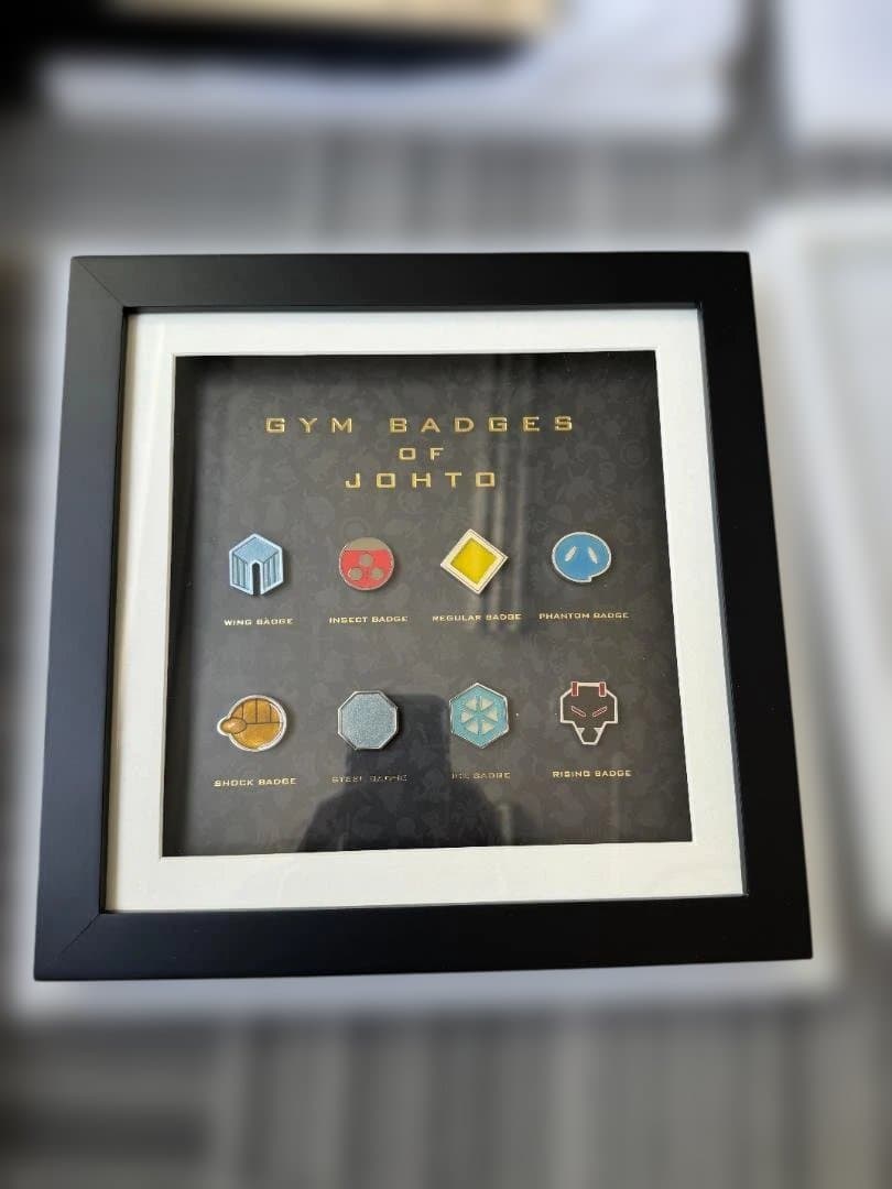 ジムバッジコレクション コンプリートセット シンオウ ポケモン