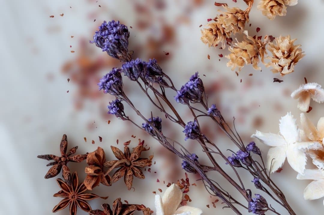 せさみ@断捨離中