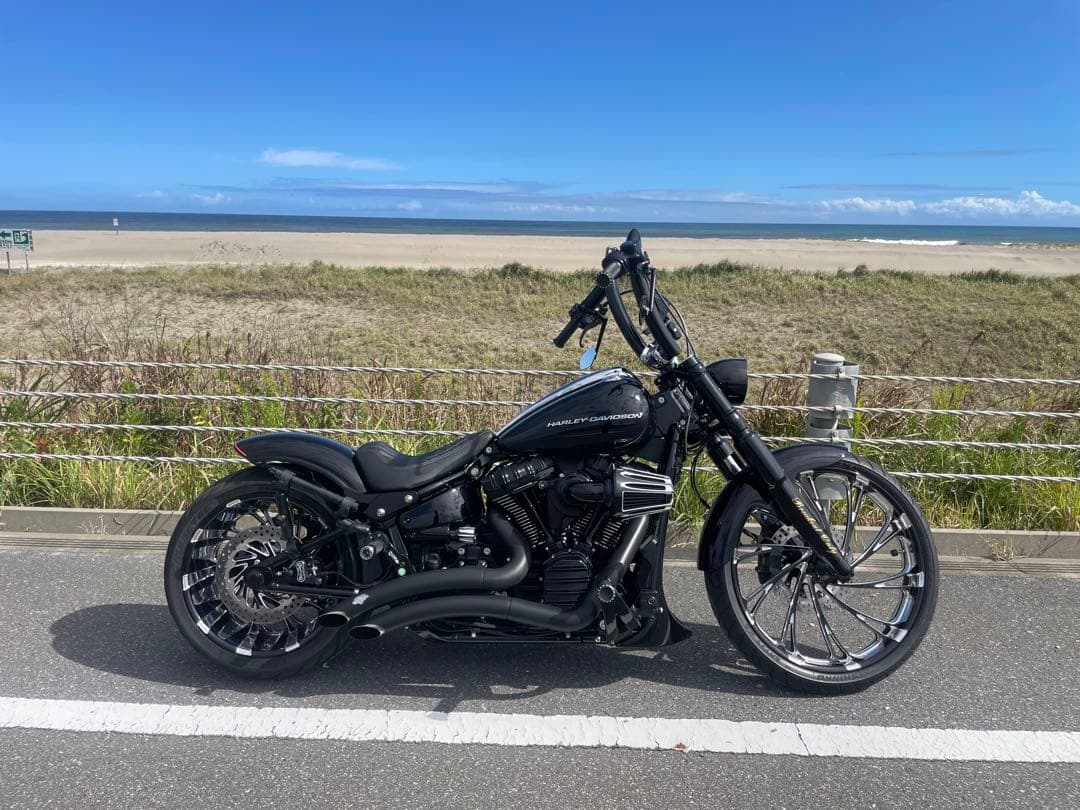 カルトワークス　フォークカバー6点セット加工あり　ヘッドライトステー