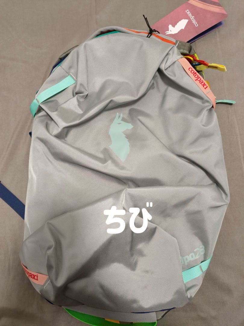 cotopaxi グレー リュック・バックパック Amazon.co.jp: Cotopaxi(コトパクシ) MENTE 32L DAYPACK CADA DIA