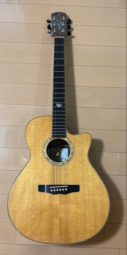 【Rrepair Me】Morris S-101 藤村政明　エレアコ