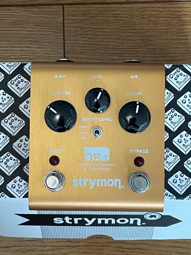 ギター [sleepy] Strymon OB.1
