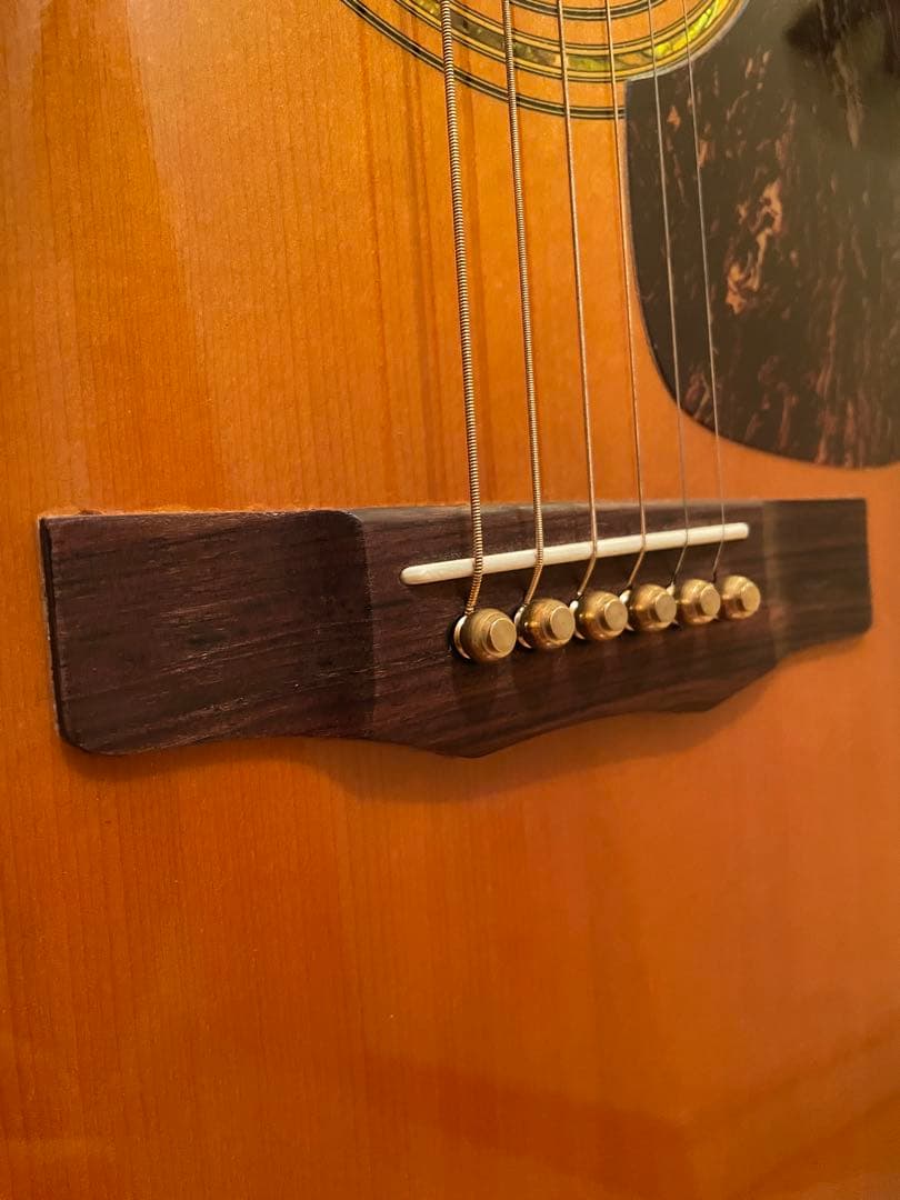 あい様 MJ様専用 Morris M601 ハカランダ 美品 引き取り限定 ギター