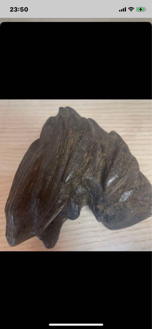 香木、约240克、g 香木/香原料『極上シャム沈香【J-9】15g木箱入』大発 | 取扱い