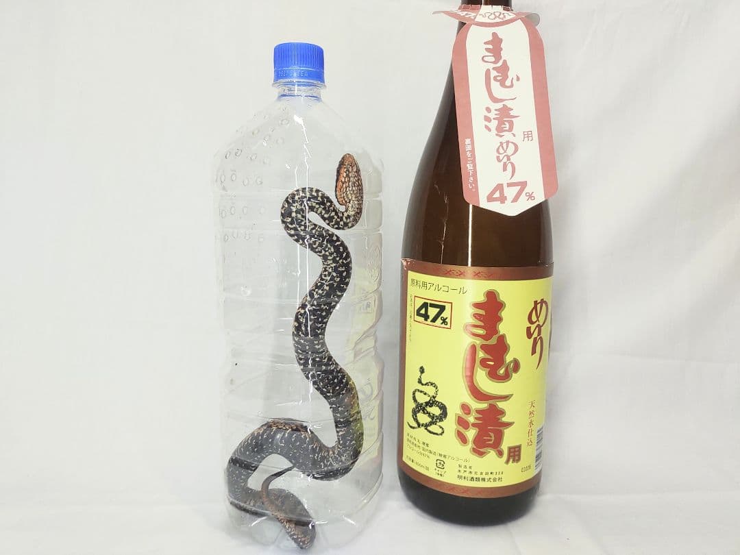 まむし焼酎、マムシ酒、送料込みです