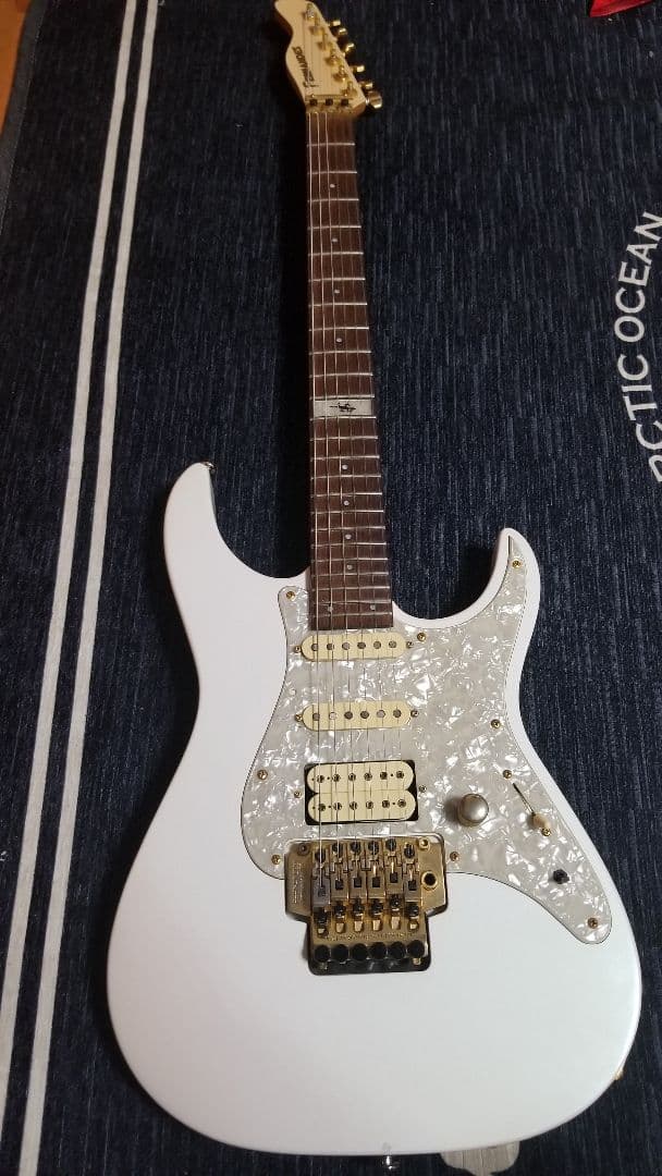 FERNANDES LA-80kk L'Arc-En-Ciel.Gotoh ペグ