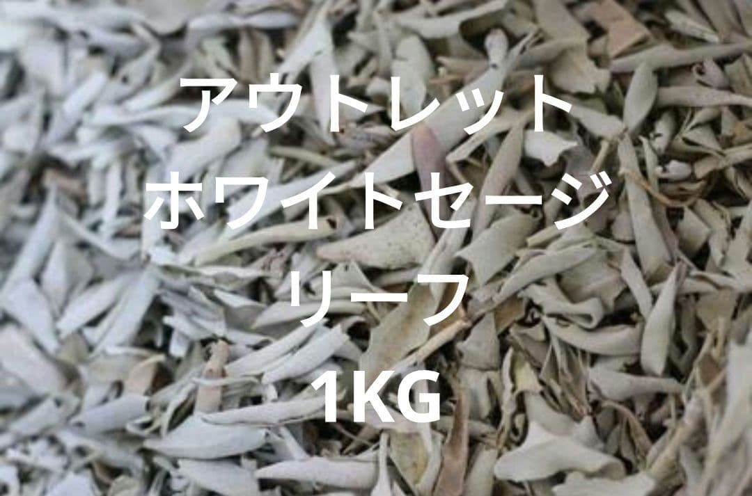 激安価格☆無農薬アウトレットホワイトセージリーフ1KGお香浄化業務用価額お得