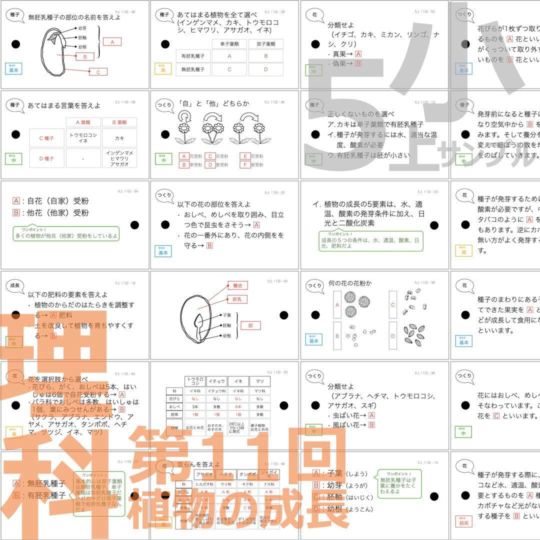 中学受験 暗記カード【5年上 理科11-19回】予習シリーズ 組み分けテスト