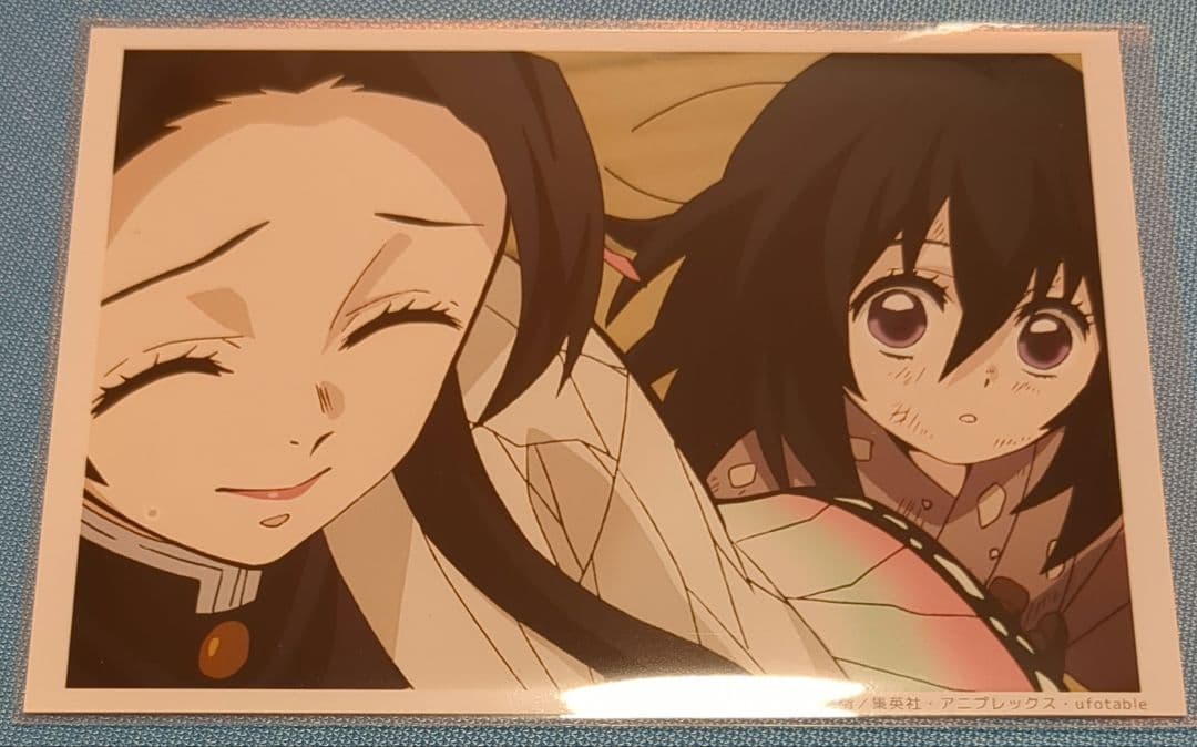 鬼滅の刃 胡蝶カナエ 栗花落カナヲ ブロマイドくじ - メルカリ