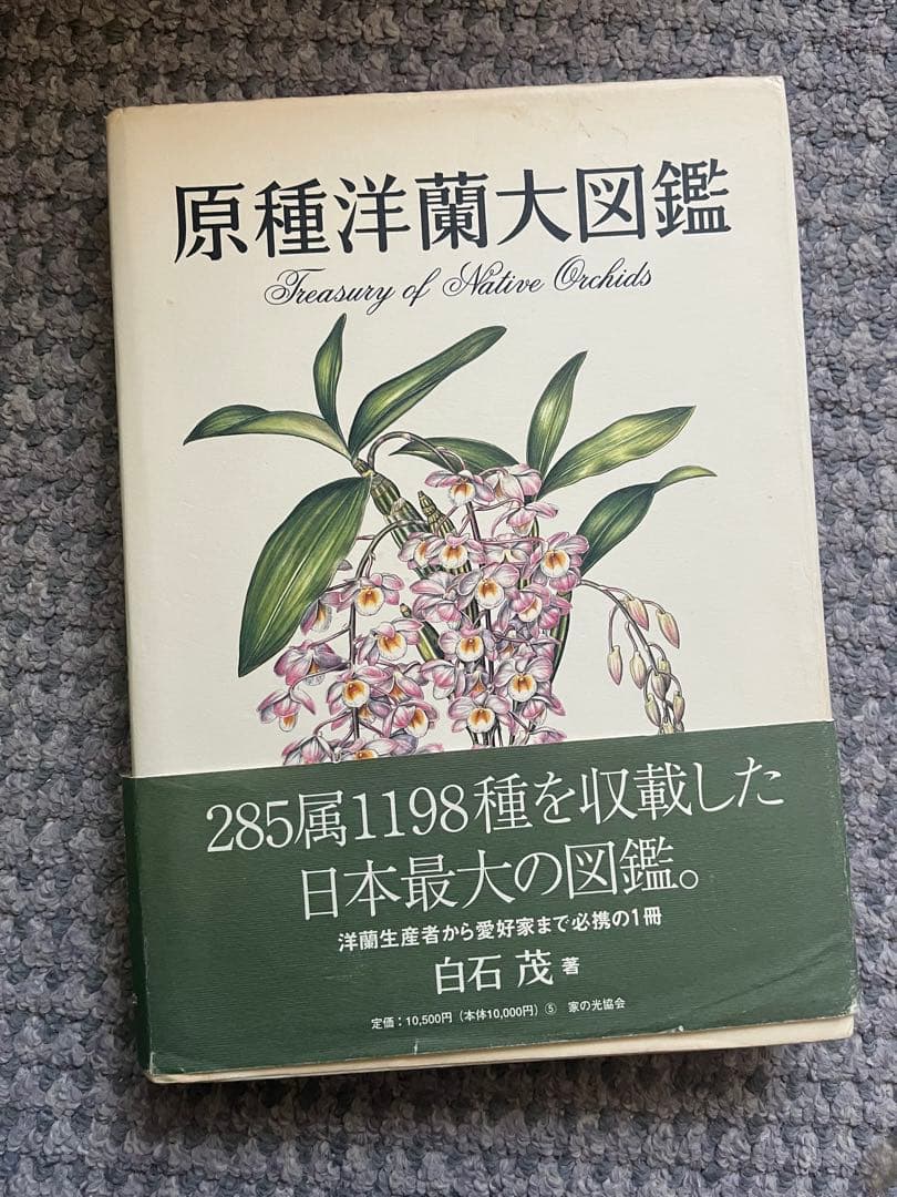 原種洋蘭大図鑑 Treasury of Native Orchids 原種洋蘭大図鑑 Treasury of Native Orchids 原種洋蘭大図鑑 | 白石 茂
