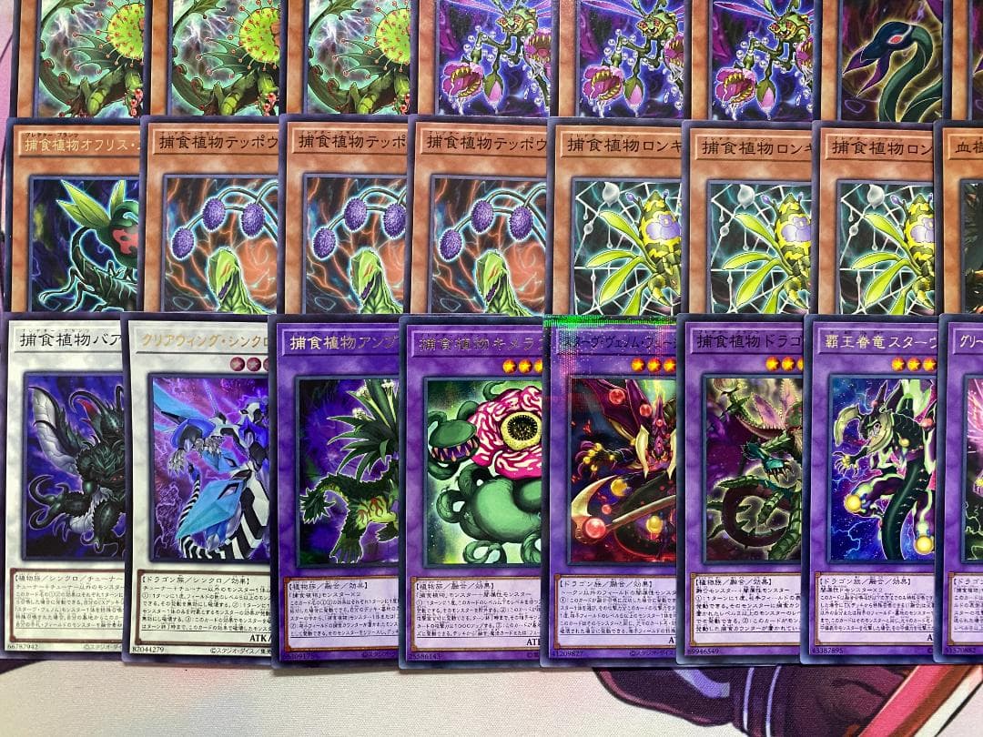 002 遊戯王 烙印捕食植物 プレデタープランツ 本格構築済みデッキ