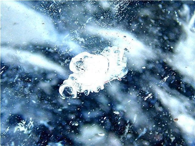 約:221mm超綺麗☆水晶丸玉B74B1/381B20 置物