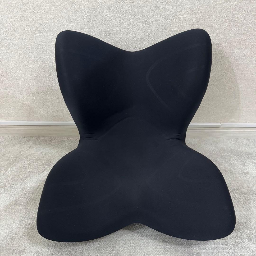 MTG Style Premium スタイル プレミアム 姿勢矯正