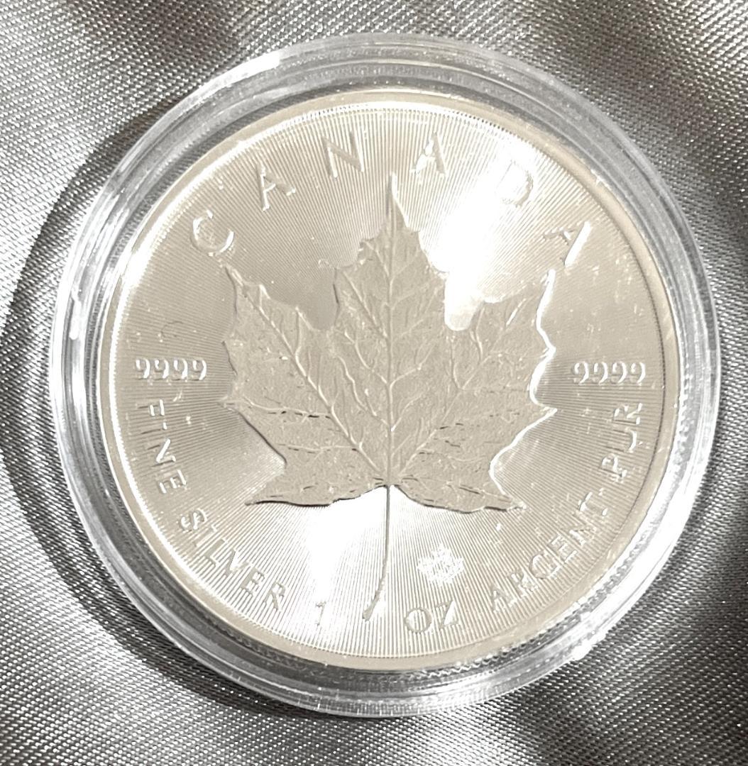 Banksy専用2020 カナダ メイプルリーフ 銀貨 1オンス 38mm 楽天市場】即納・追跡可 新品未使用 2009 カナダ メイプル 銀貨 1