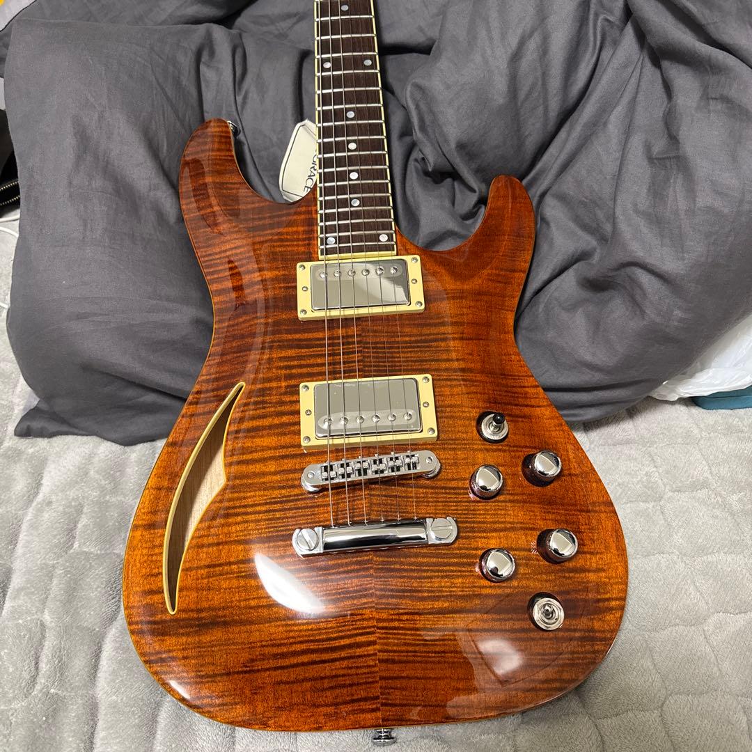 美品　SCHECTER ( シェクター ) C-1 E/A CAT'S EYE