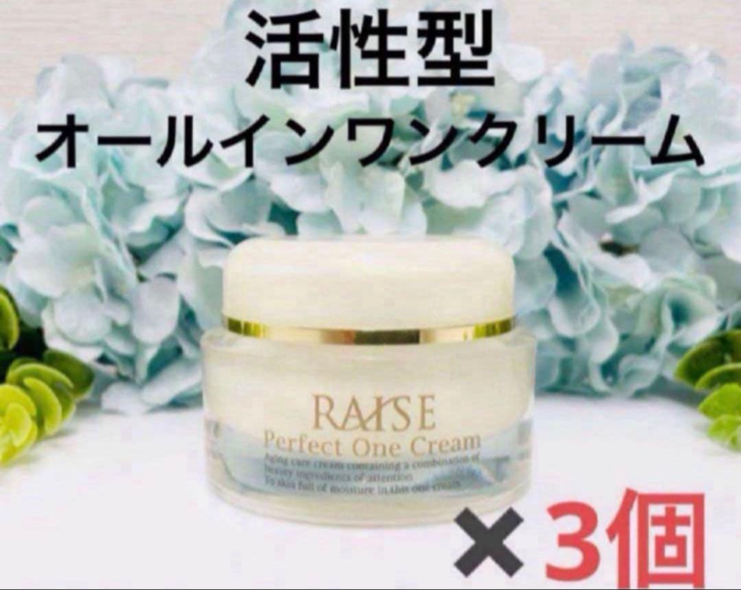 RAISE Perfect One Cream 3個セット