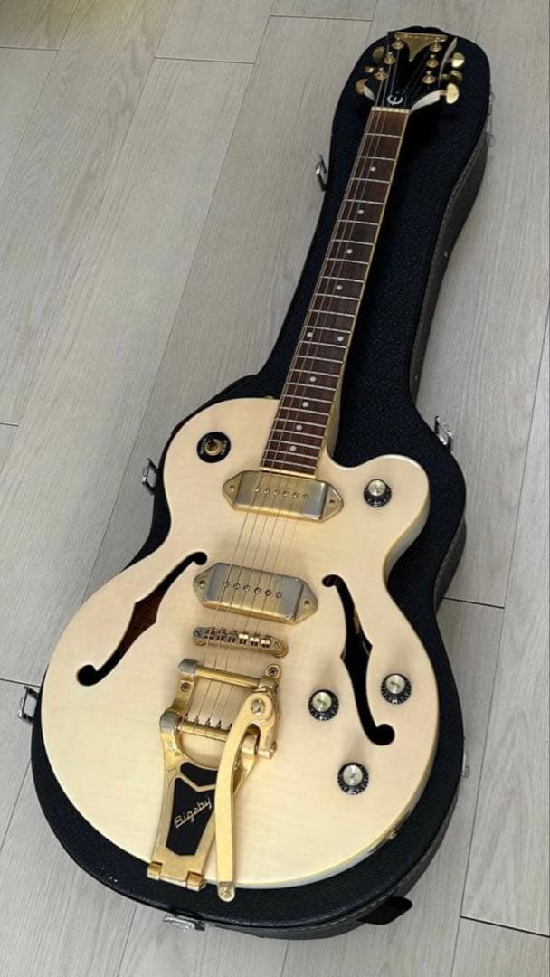 【‎一旦最終値下げなので買ってください】Epiphone WildKat