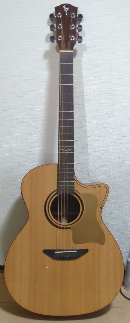 ギター DCT G-311 CE