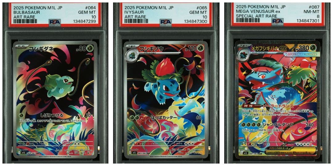 【PSA連番】フシギダネAR フシギソウAR メガフシギバナ SAR