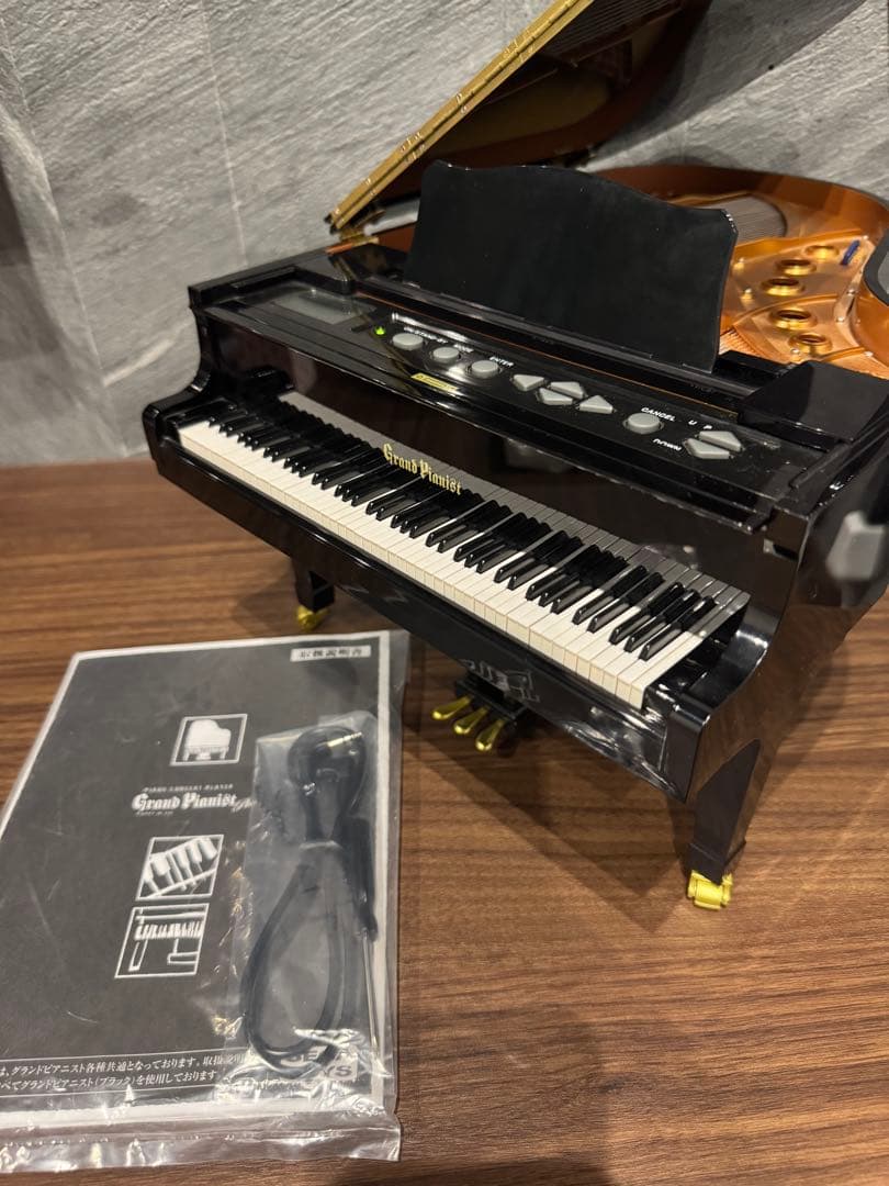 廃盤 グランドピアニスト セガトイズ SEGATOYS 動作確認済 SDカード付