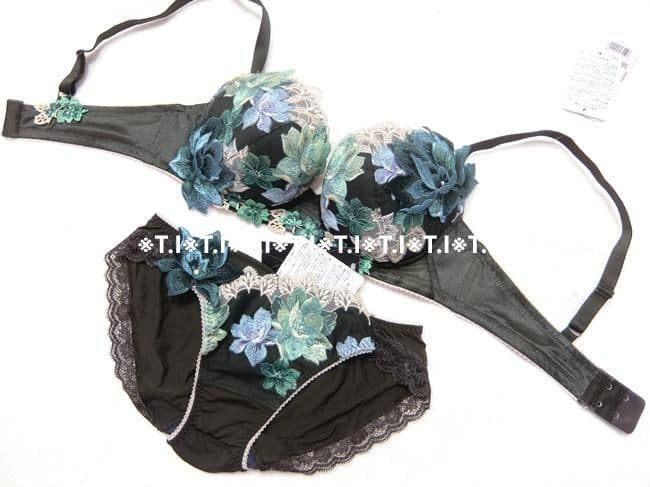 サルート/ライオンキング　E70＆ノーマルショーツM　GR　30 ワコール サルート 28G ショーツ PTJ728 M・L ハイレッグ ノーマル