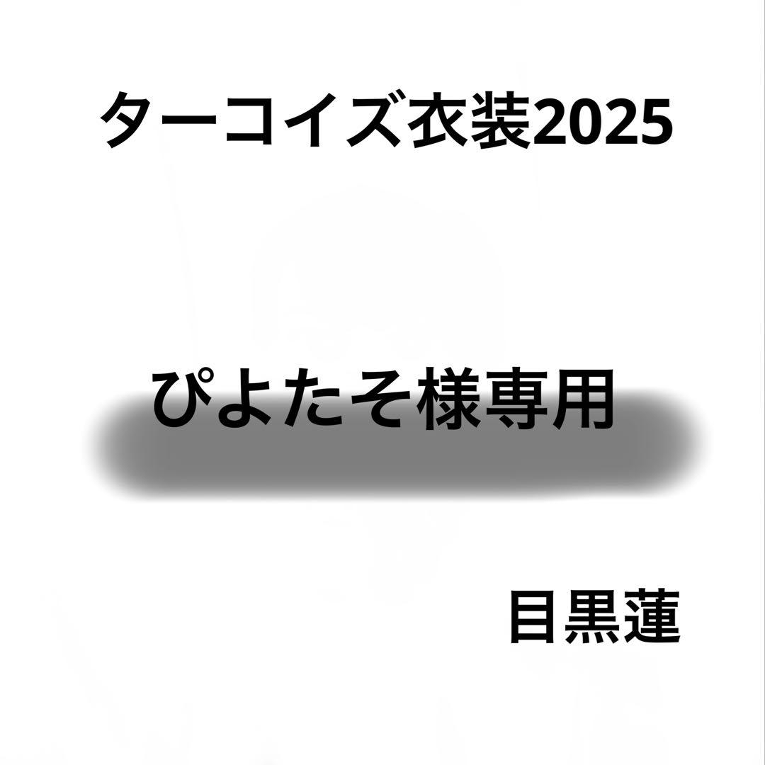 ぴよたそ　Bigぬい ぬい服　ターコイズ衣装　メンカララメ衣装　目黒蓮 すのチル サカモトデイズ BIGぬい衣装 目黒蓮 - メルカリ