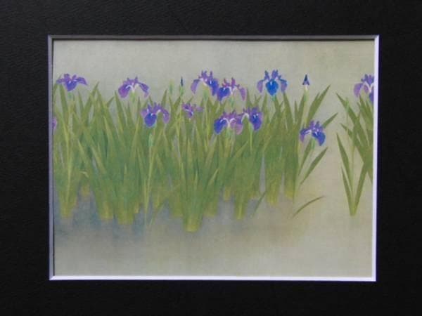 上村松篁「杜若」希少画集画、新品高級額、額装付、状態良好、油彩 風景