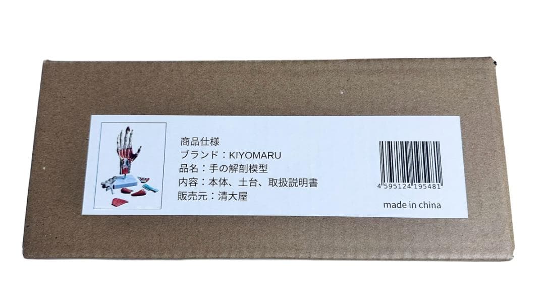 新品・未使用】KIYOMARU 手解剖模型 7パーツ分解 人体模型 手関節