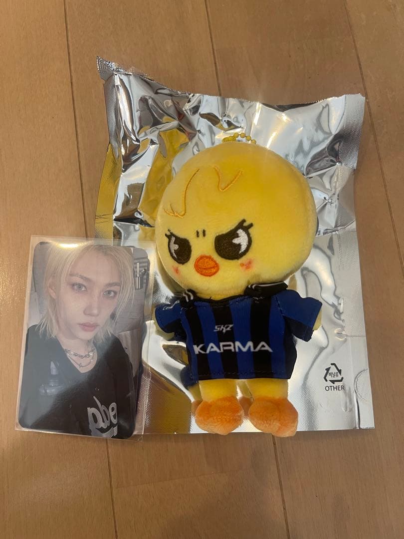 KARMA SKZOO版 ポガリ フィリックストレカ - メルカリ