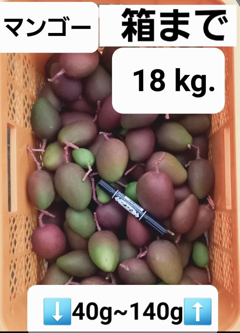 マンゴー+摘果 / 18 kg including box