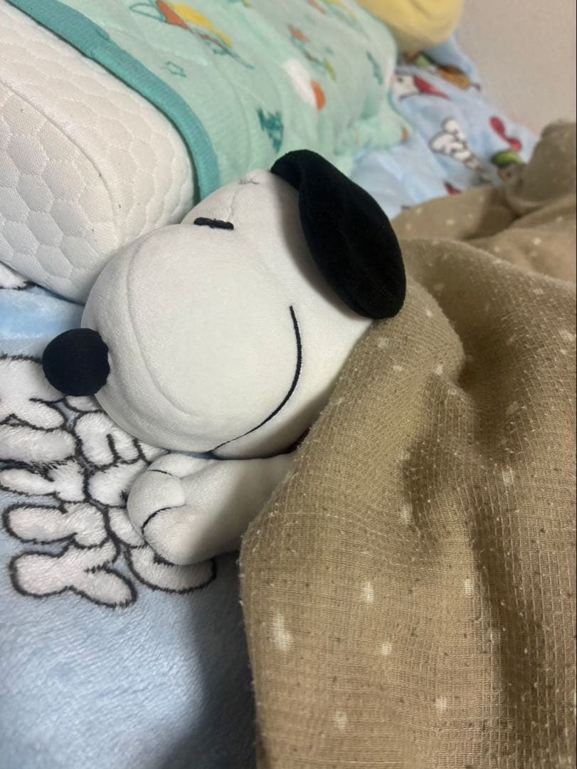スヌーピー ぬいぐるみ SNOOPY™ LLぬいぐるみ なかよしハグ｜プライズ・くじ・グッズ情報なら